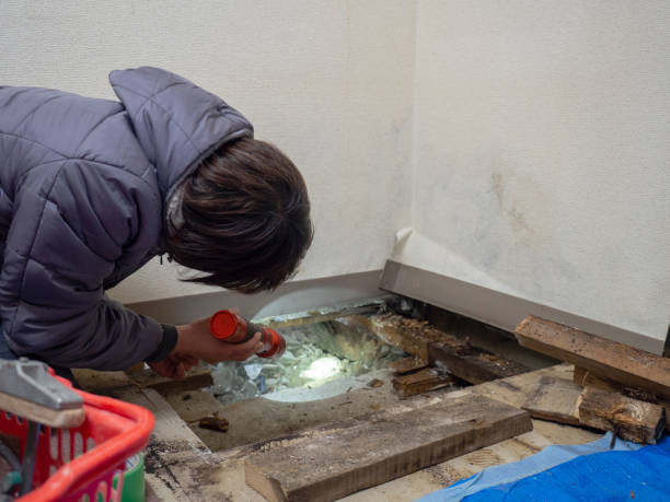 Mold Remediation for Vacation Homes in Richmond, IN