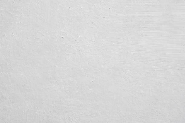 Reliable Richmond, IN Mold Removal Solutions
