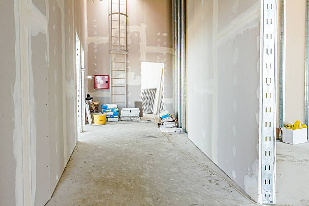 Best Crawl Space Mold Remediation  in Richmond, IN